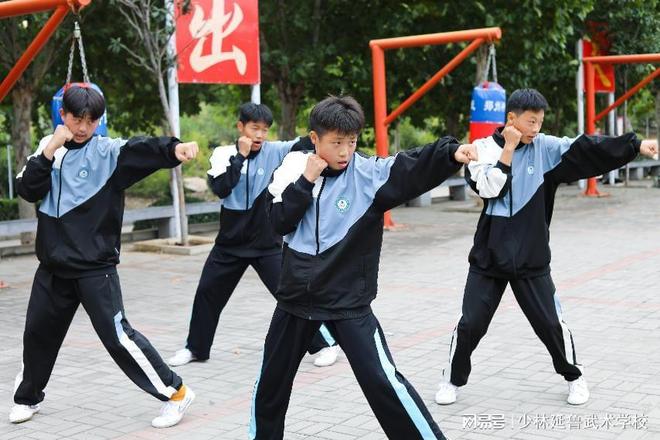 武术教会我“势”，文化课教会我“思”