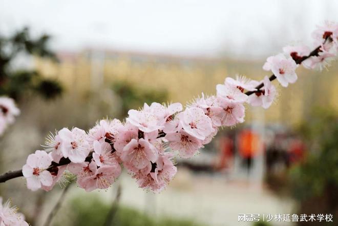 武术学校关注心理健康吗？关注情绪变化，守护孩子的心灵成长