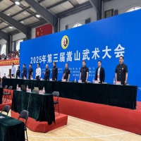 喜讯丨嵩山武术大会，延鲁学子斩获315枚奖牌！
