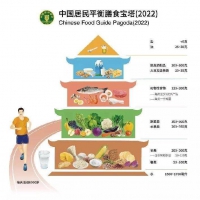 中国学生营养日 | 科学食养，助力健康成长