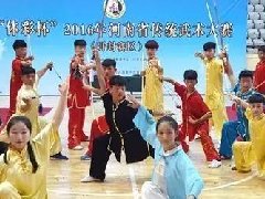 河南省传统武术大赛  集团学员成绩辉煌