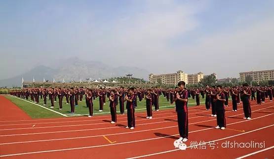 journal_insert_pic_517215032