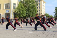 少林寺少林延鲁武术学校是文化课和武术必须都要学吗?