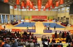 少林延鲁武术学校勇夺63枚金牌122枚银牌66枚铜牌！